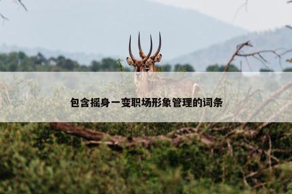 包含摇身一变职场形象管理的词条