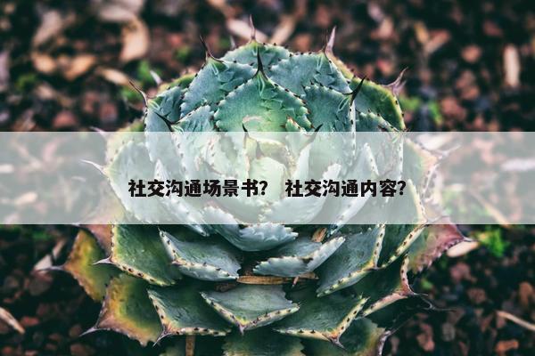 社交沟通场景书？ 社交沟通内容？