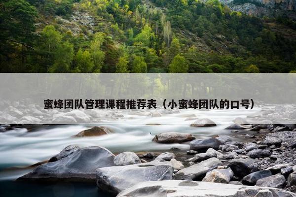 蜜蜂团队管理课程推荐表（小蜜蜂团队的口号）