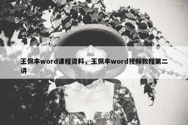 王佩丰word课程资料，王佩丰word视频教程第二讲