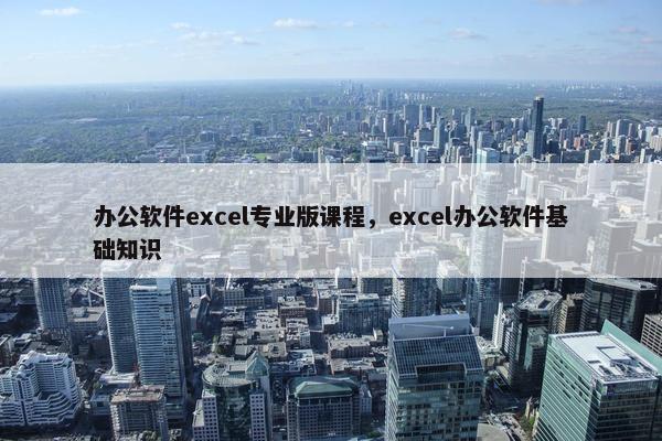 办公软件excel专业版课程，excel办公软件基础知识