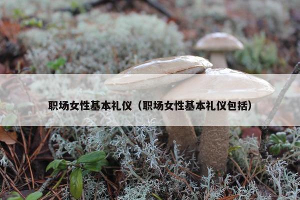 职场女性基本礼仪（职场女性基本礼仪包括）