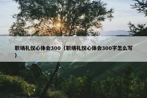 职场礼仪心体会300（职场礼仪心体会300字怎么写）