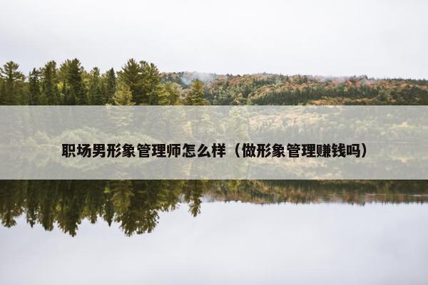 职场男形象管理师怎么样（做形象管理赚钱吗）