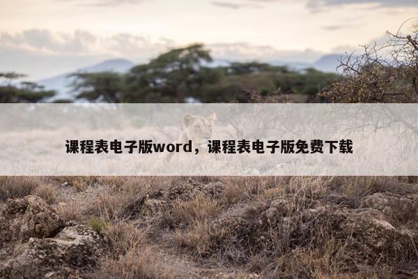 课程表电子版word，课程表电子版免费下载