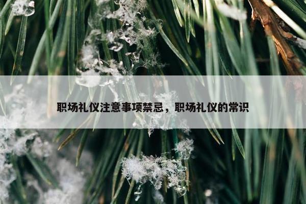 职场礼仪注意事项禁忌，职场礼仪的常识