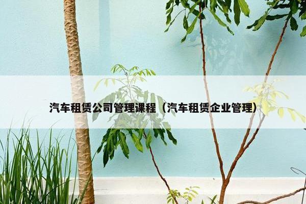汽车租赁公司管理课程（汽车租赁企业管理）