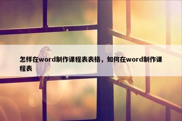 怎样在word制作课程表表格，如何在word制作课程表