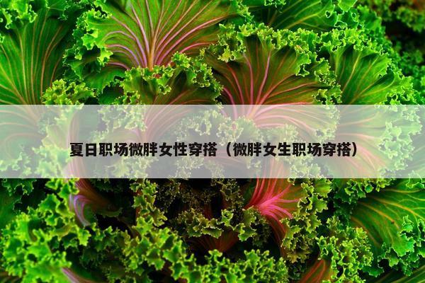 夏日职场微胖女性穿搭（微胖女生职场穿搭）