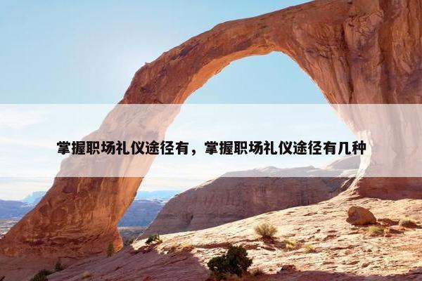 掌握职场礼仪途径有，掌握职场礼仪途径有几种