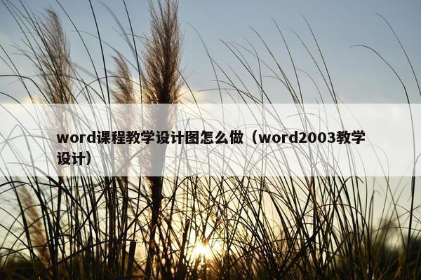 word课程教学设计图怎么做（word2003教学设计）