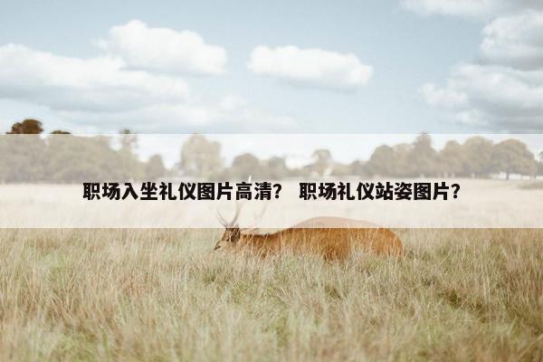 职场入坐礼仪图片高清？ 职场礼仪站姿图片？
