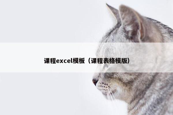 课程excel模板（课程表格模版）