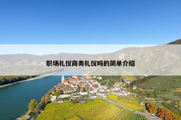 职场礼仪商务礼仪吗的简单介绍