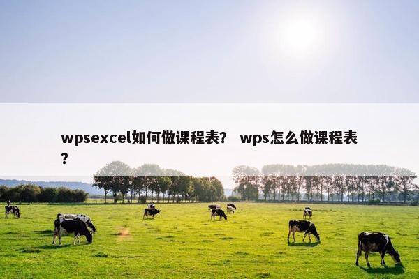 wpsexcel如何做课程表？ wps怎么做课程表？