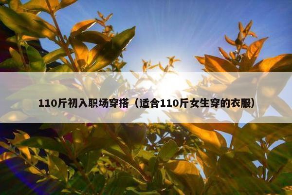 110斤初入职场穿搭（适合110斤女生穿的衣服）