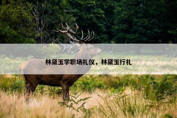 林黛玉学职场礼仪，林黛玉行礼