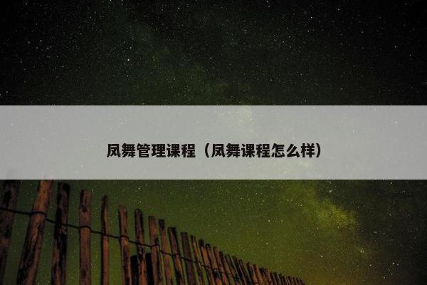 凤舞管理课程（凤舞课程怎么样）