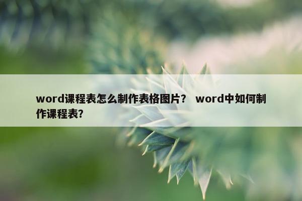 word课程表怎么制作表格图片？ word中如何制作课程表？