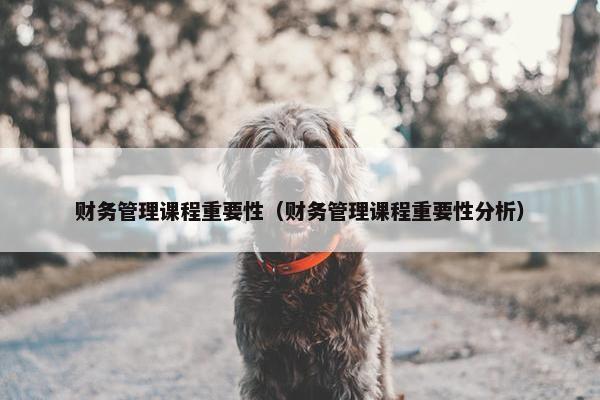 财务管理课程重要性（财务管理课程重要性分析）