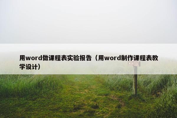 用word做课程表实验报告（用word制作课程表教学设计）