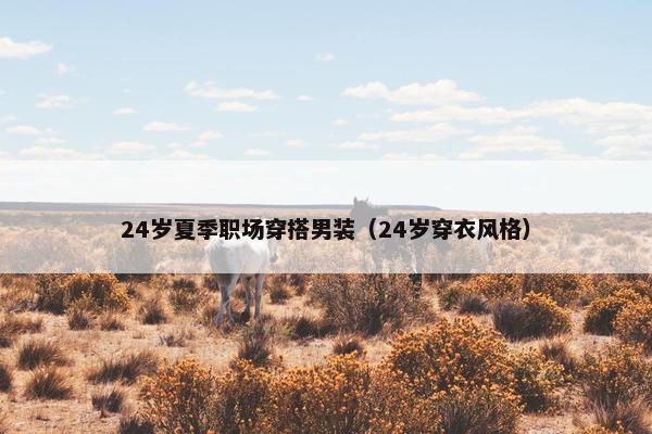 24岁夏季职场穿搭男装（24岁穿衣风格）