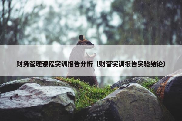 财务管理课程实训报告分析（财管实训报告实验结论）