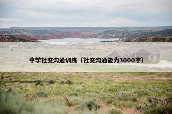 中学社交沟通训练（社交沟通能力3000字）