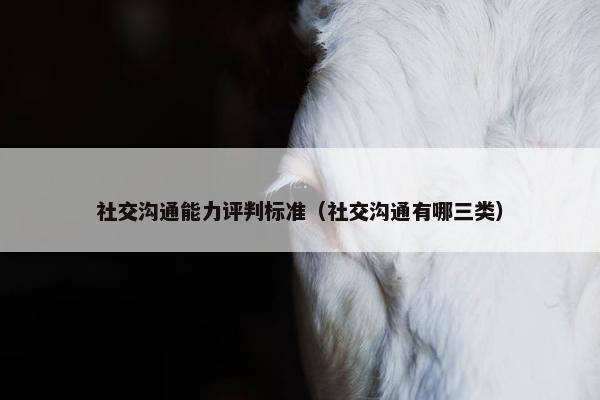 社交沟通能力评判标准（社交沟通有哪三类）