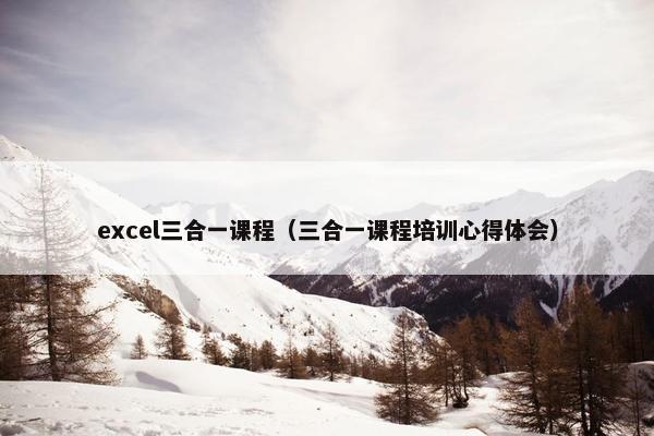excel三合一课程（三合一课程培训心得体会）