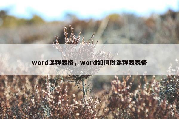 word课程表格，word如何做课程表表格