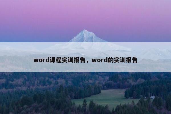 word课程实训报告，word的实训报告