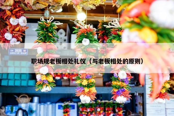职场规老板相处礼仪（与老板相处的原则）