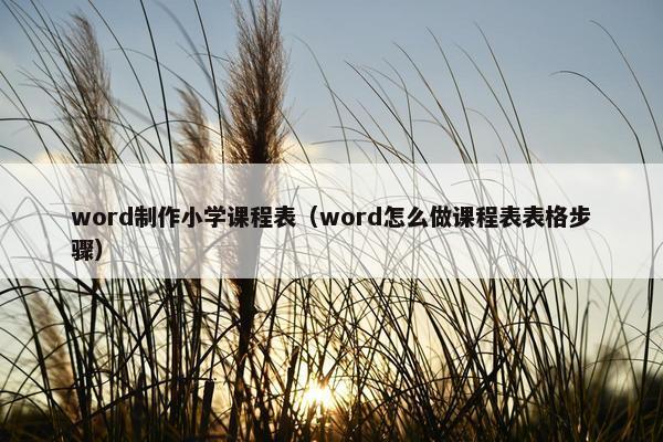 word制作小学课程表（word怎么做课程表表格步骤）