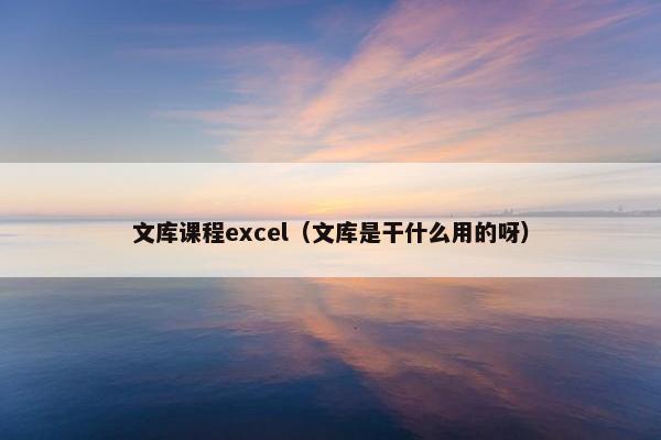 文库课程excel（文库是干什么用的呀）