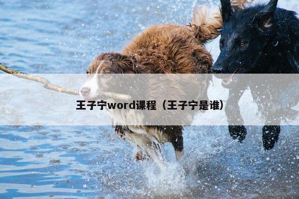 王子宁word课程（王子宁是谁）