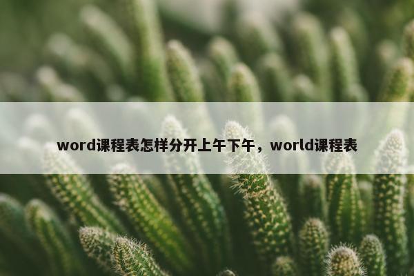 word课程表怎样分开上午下午，world课程表