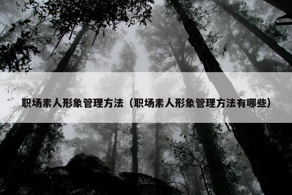职场素人形象管理方法（职场素人形象管理方法有哪些）