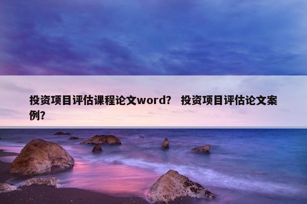 投资项目评估课程论文word？ 投资项目评估论文案例？