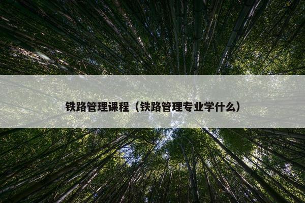 铁路管理课程（铁路管理专业学什么）