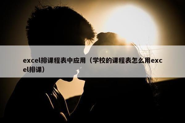 excel排课程表中应用（学校的课程表怎么用excel排课）