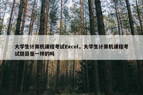 大学生计算机课程考试Excel，大学生计算机课程考试题目是一样的吗
