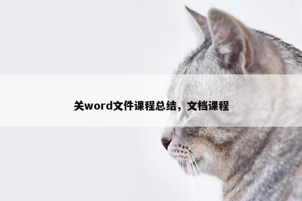 关word文件课程总结，文档课程