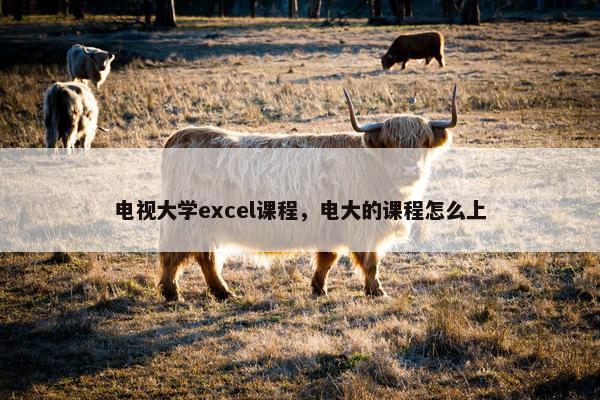 电视大学excel课程，电大的课程怎么上