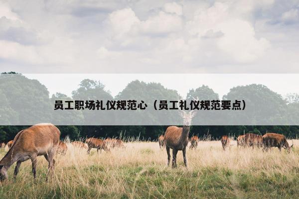 员工职场礼仪规范心（员工礼仪规范要点）