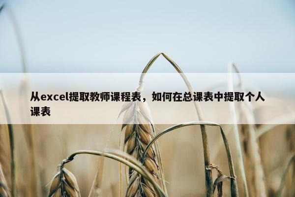 从excel提取教师课程表，如何在总课表中提取个人课表