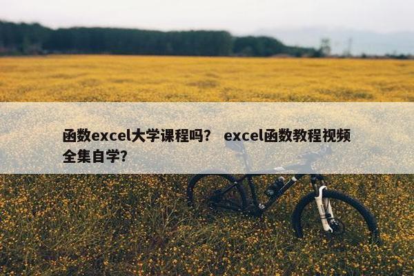 函数excel大学课程吗？ excel函数教程视频全集自学？
