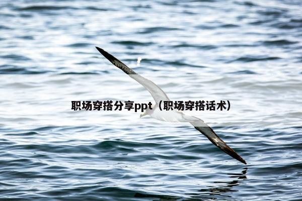职场穿搭分享ppt（职场穿搭话术）