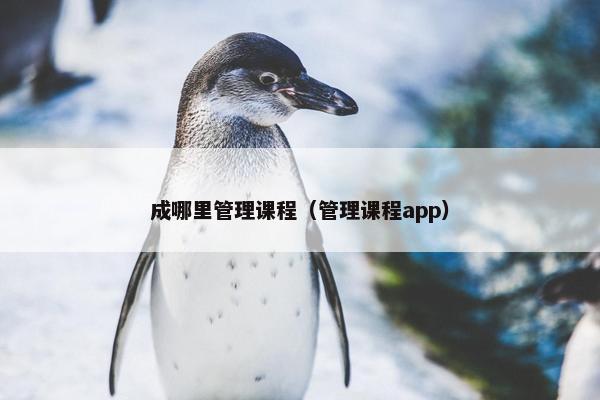 成哪里管理课程（管理课程app）
