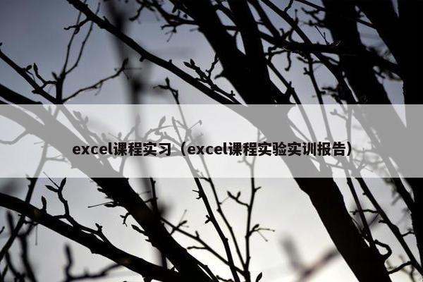 excel课程实习（excel课程实验实训报告）